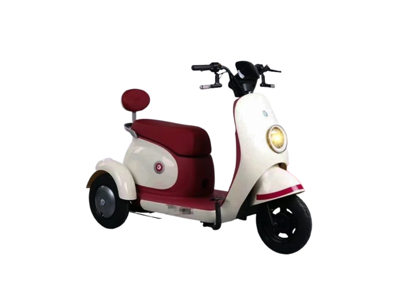 Road King K9-3Wheeler