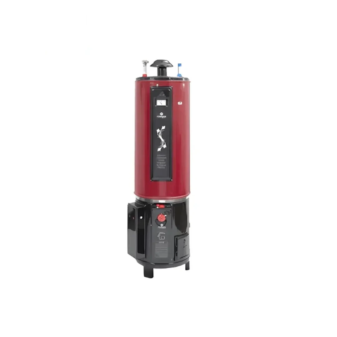 Nasgas Electric & Gas Geyser 55 Gallon (DEG-55) Super HD