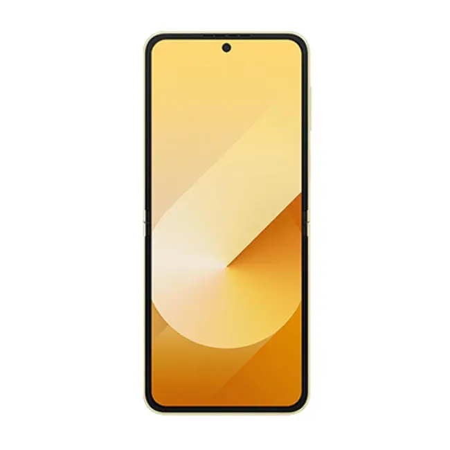 Samsung Galaxy Z Flip 6