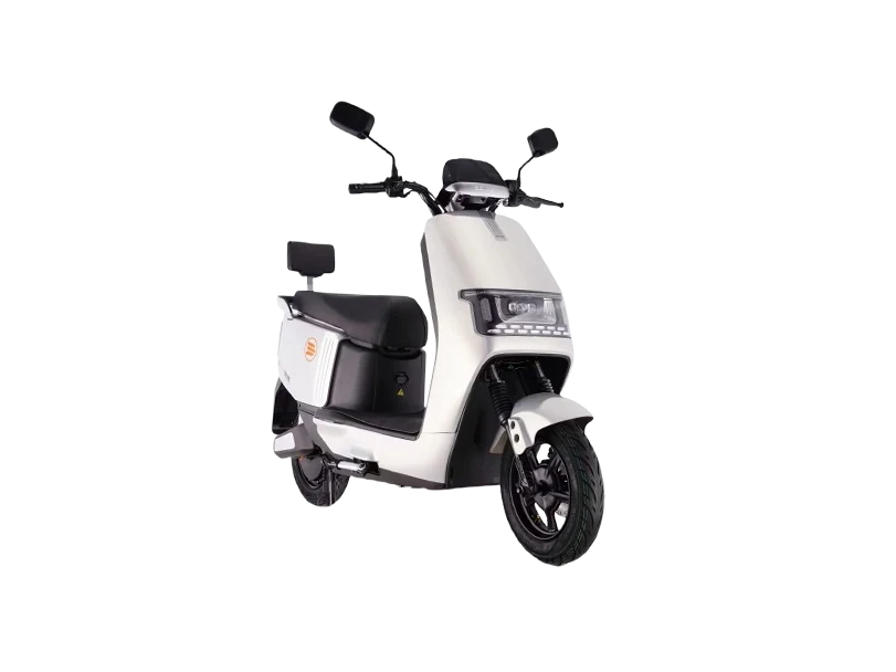 SAIGE N300