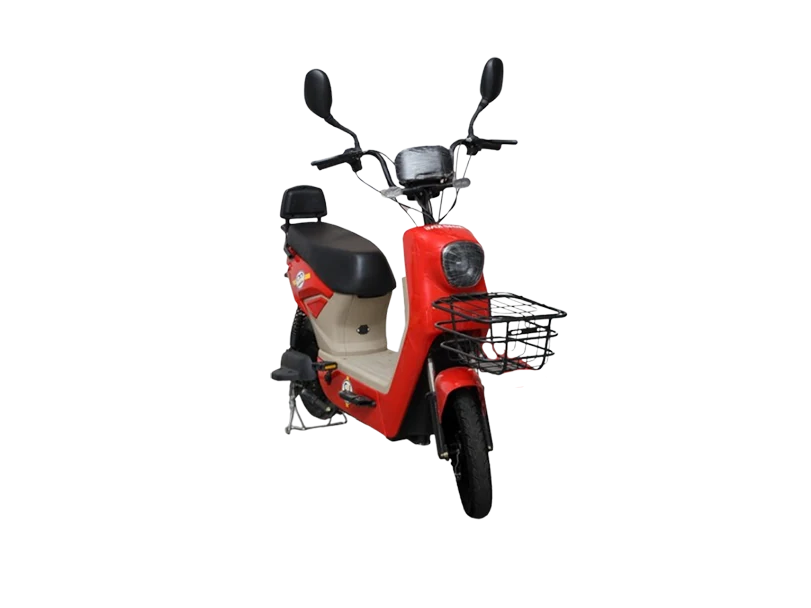 Road King Paddle-IB